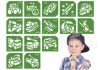 Járművek sablon szett 15db-os  #501553 