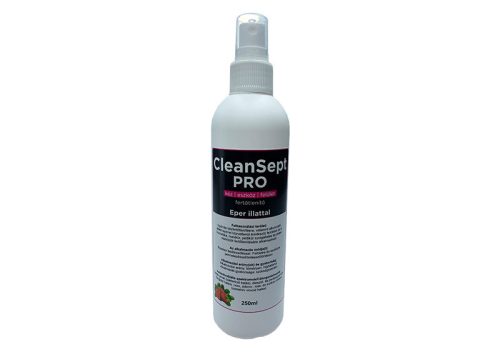 CleanSept Pro - Kéz- eszköz- és felületfertőtlenítő 250ml  Eper illatú