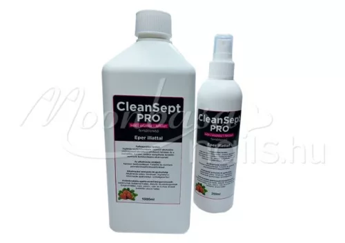 CleanSept Pro – Desinfektionsmittel für Hände, Geräte und Oberflächen 250 ml  Mit Erdbeerduft