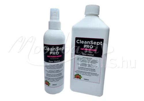 CleanSept Pro – Hand , Geräte  und Oberflächendesinfektionsmittel 1000 ml  Mit Erdbeerduft