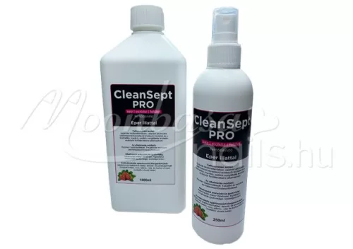 CleanSept Pro – Hand , Geräte  und Oberflächendesinfektionsmittel 1000 ml  Mit Erdbeerduft